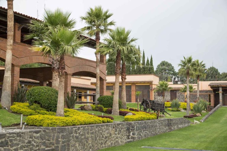 jardín de eventos, jardín de fiestas, jardín para bodas